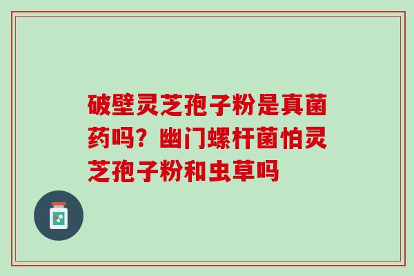 破壁灵芝孢子粉是真菌药吗？幽门螺杆菌怕灵芝孢子粉和虫草吗