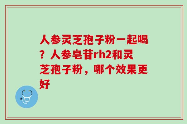 人参灵芝孢子粉一起喝?人参皂苷rh2和灵芝孢子粉,哪个效果更好 人参灵芝孢子粉一起喝?人参皂苷rh2和灵芝孢子粉,哪个效果更好