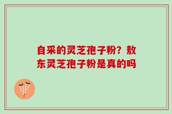 自采的灵芝孢子粉？敖东灵芝孢子粉是真的吗