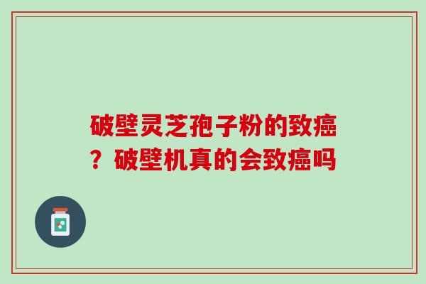 破壁灵芝孢子粉的致？破壁机真的会致吗
