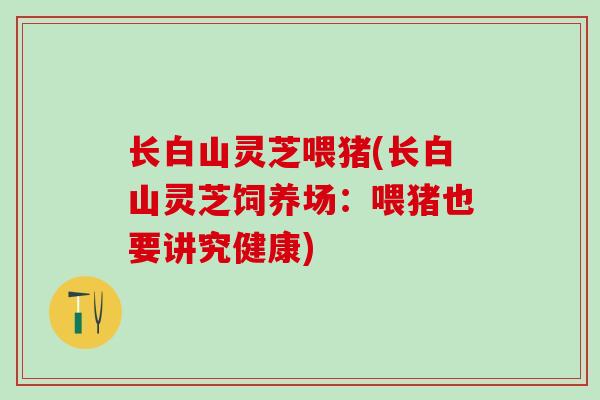 长白山灵芝喂猪(长白山灵芝饲养场:喂猪也要讲究健康) 长白山灵芝喂猪(长白山灵芝饲养场:喂猪也要讲究健康)