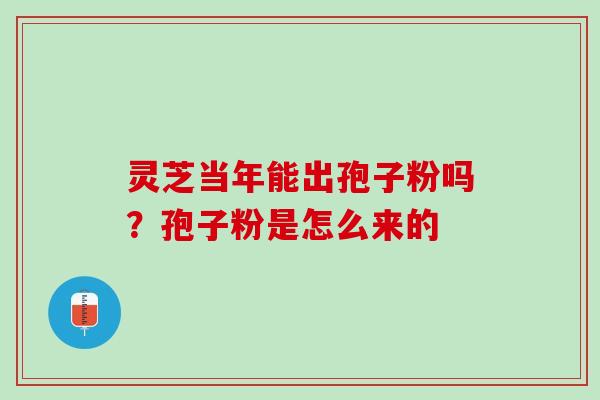 灵芝当年能出孢子粉吗？孢子粉是怎么来的