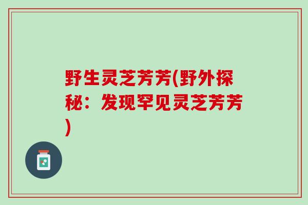 野生灵芝芳芳(野外探秘：发现罕见灵芝芳芳)