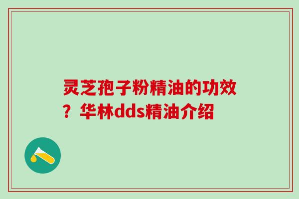 灵芝孢子粉精油的功效？华林dds精油介绍