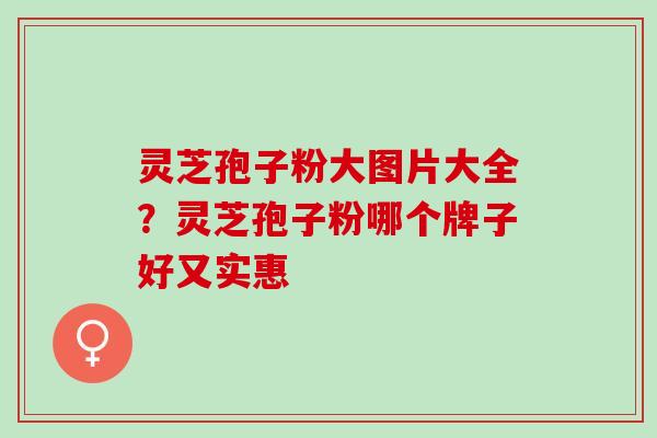 灵芝孢子粉大图片大全？灵芝孢子粉哪个牌子好又实惠