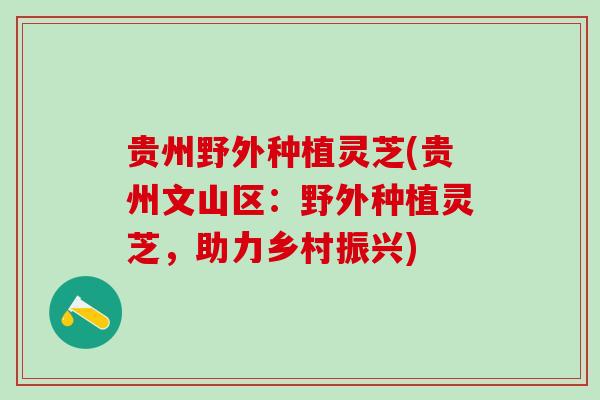 贵州野外种植灵芝(贵州文山区:野外种植灵芝,助力乡村振兴) 贵州野外种植灵芝(贵州文山区:野外种植灵芝,助力乡村振兴)
