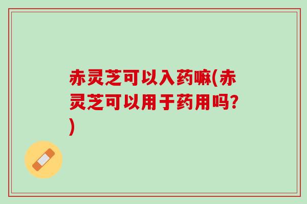 赤灵芝可以入药嘛(赤灵芝可以用于药用吗？)
