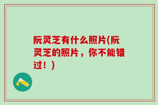 阮灵芝有什么照片(阮灵芝的照片，你不能错过！)