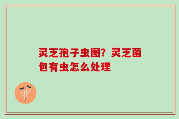 灵芝孢子虫图？灵芝菌包有虫怎么处理