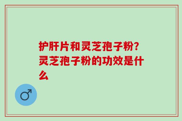 护肝片和灵芝孢子粉？灵芝孢子粉的功效是什么