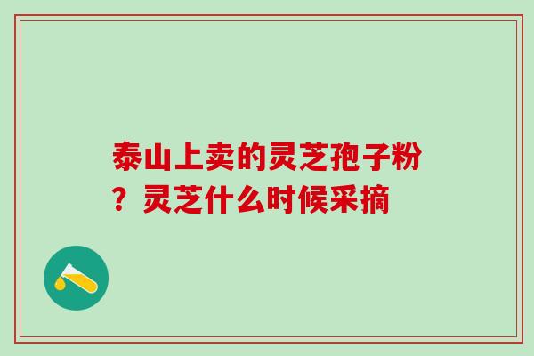 泰山上卖的灵芝孢子粉？灵芝什么时候采摘