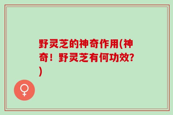 野灵芝的神奇作用(神奇！野灵芝有何功效？)