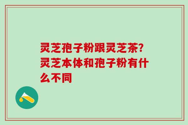 灵芝孢子粉跟灵芝茶？灵芝本体和孢子粉有什么不同