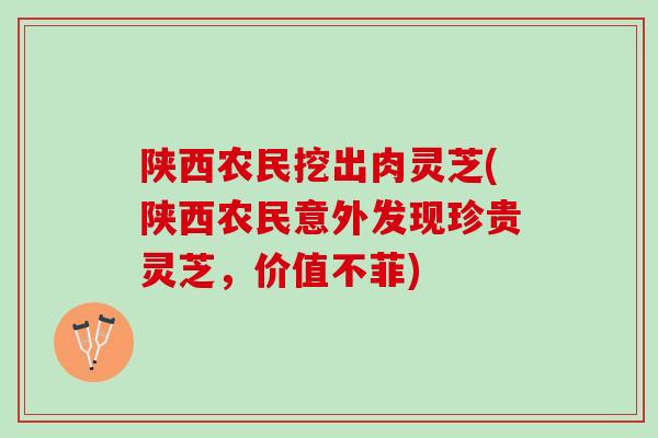 陕西农民挖出肉灵芝(陕西农民意外发现珍贵灵芝，价值不菲)