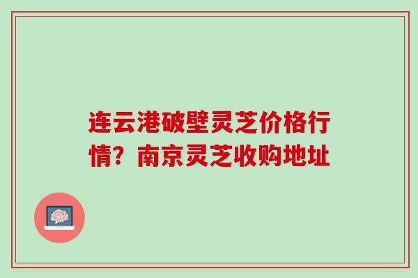 连云港破壁灵芝价格行情？南京灵芝收购地址