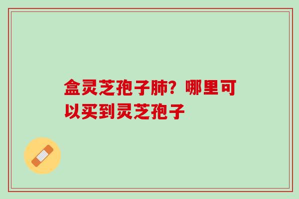 盒灵芝孢子？哪里可以买到灵芝孢子