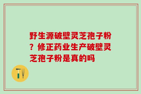 野生源破壁灵芝孢子粉？修正药业生产破壁灵芝孢子粉是真的吗