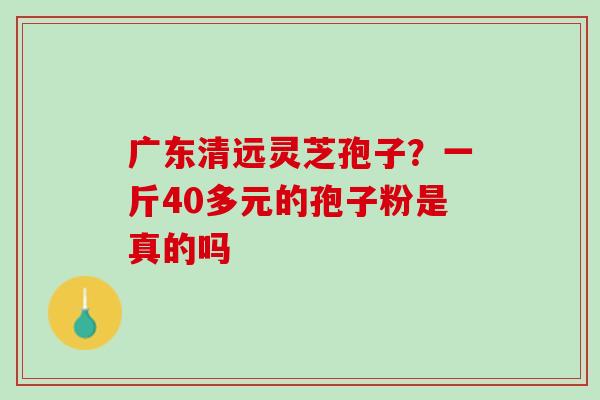 广东清远灵芝孢子？一斤40多元的孢子粉是真的吗