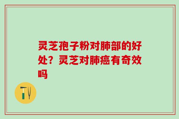 灵芝孢子粉对部的好处?灵芝对有奇效吗 灵芝孢子粉对部的好处?灵芝对有奇效吗