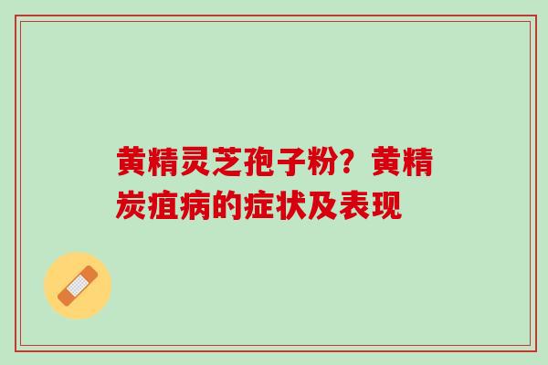 黄精灵芝孢子粉？黄精炭疽病的症状及表现