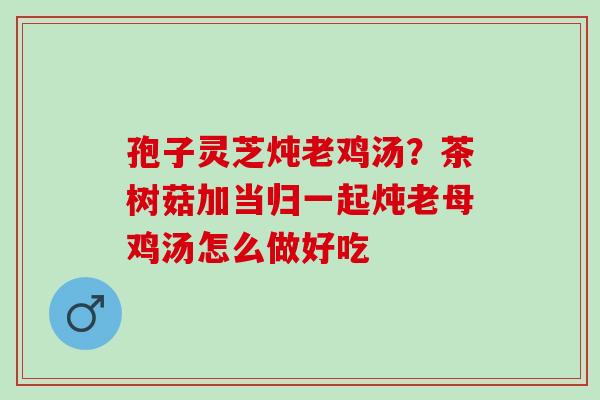 孢子灵芝炖老鸡汤？茶树菇加当归一起炖老母鸡汤怎么做好吃