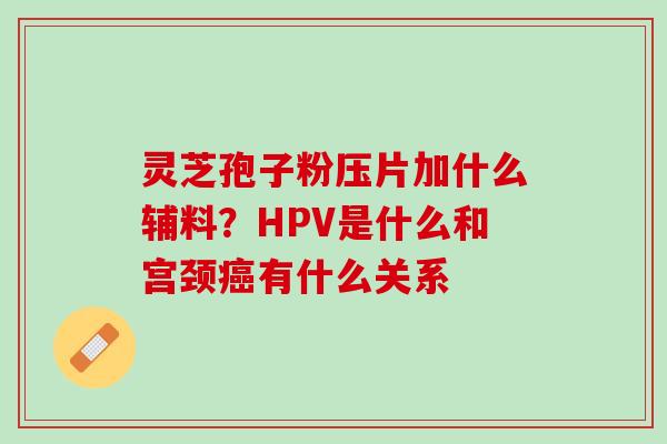 灵芝孢子粉压片加什么辅料？HPV是什么和宫颈癌有什么关系