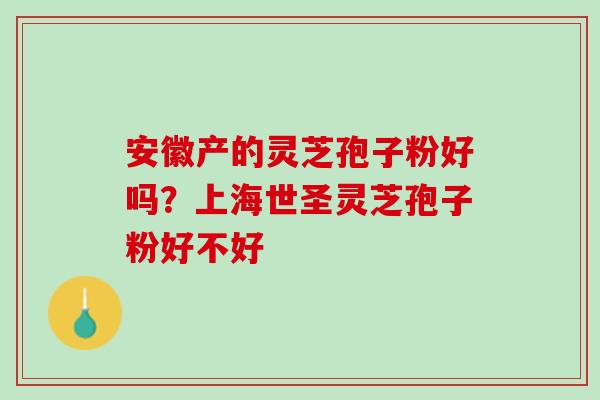 安徽产的灵芝孢子粉好吗？上海世圣灵芝孢子粉好不好
