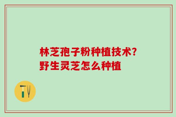 林芝孢子粉种植技术？野生灵芝怎么种植