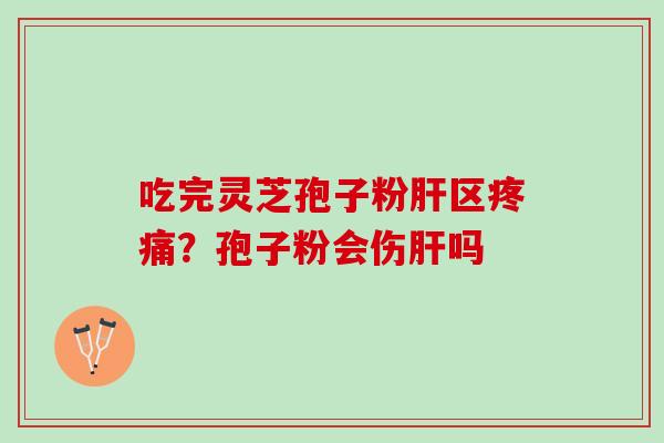 吃完灵芝孢子粉肝区疼痛？孢子粉会伤肝吗