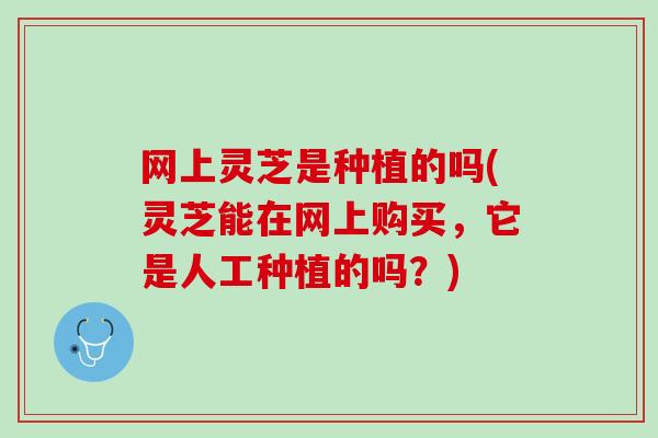 网上灵芝是种植的吗(灵芝能在网上购买，它是人工种植的吗？)