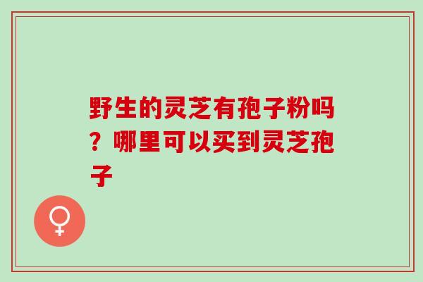 野生的灵芝有孢子粉吗？哪里可以买到灵芝孢子