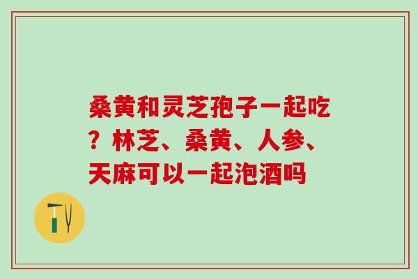 桑黄和灵芝孢子一起吃?林芝、桑黄、人参、天麻可以一起泡酒吗 桑黄和灵芝孢子一起吃?林芝、桑黄、人参、天麻可以一起泡酒吗