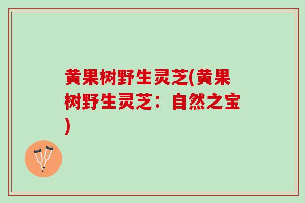 黄果树野生灵芝(黄果树野生灵芝:自然之宝) 黄果树野生灵芝(黄果树野生灵芝:自然之宝)