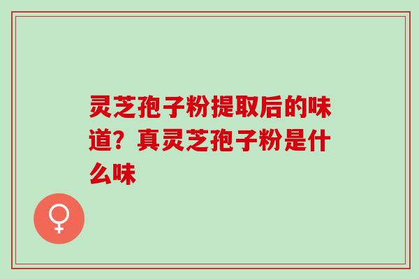 灵芝孢子粉提取后的味道?真灵芝孢子粉是什么味 灵芝孢子粉提取后的味道?真灵芝孢子粉是什么味