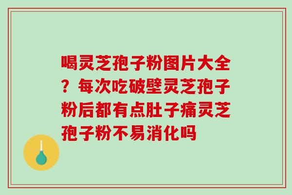 喝灵芝孢子粉图片大全？每次吃破壁灵芝孢子粉后都有点肚子痛灵芝孢子粉不易消化吗