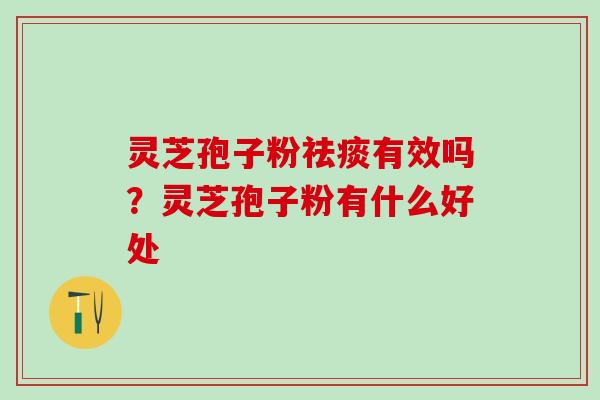 灵芝孢子粉祛痰有效吗？灵芝孢子粉有什么好处