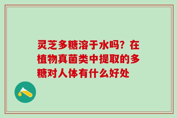 灵芝多糖溶于水吗？在植物真菌类中提取的多糖对人体有什么好处