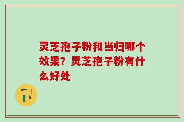 灵芝孢子粉和当归哪个效果？灵芝孢子粉有什么好处