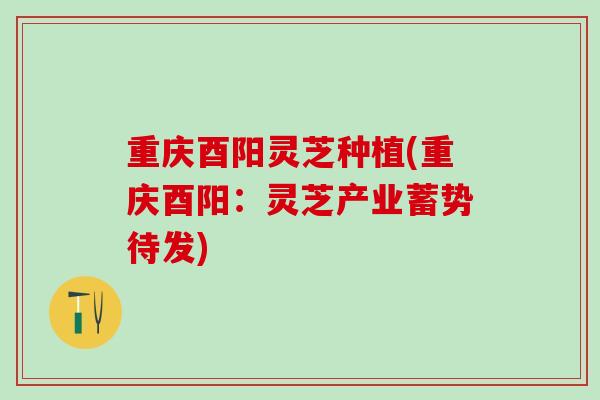 重庆酉阳灵芝种植(重庆酉阳：灵芝产业蓄势待发)