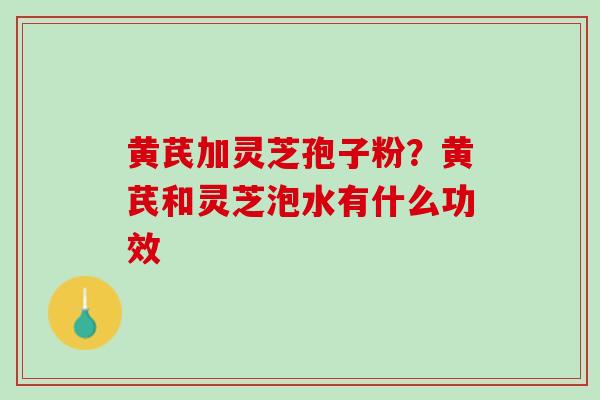 黄芪加灵芝孢子粉？黄芪和灵芝泡水有什么功效