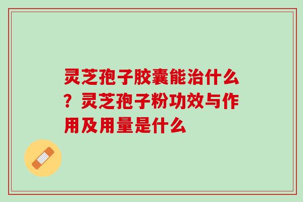 灵芝孢子胶囊能治什么？灵芝孢子粉功效与作用及用量是什么