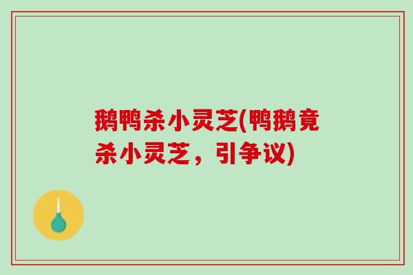 鹅鸭杀小灵芝(鸭鹅竟杀小灵芝,引争议) 鹅鸭杀小灵芝(鸭鹅竟杀小灵芝,引争议)