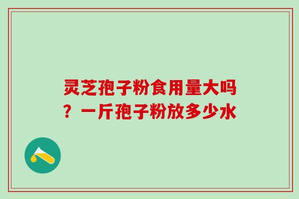 灵芝孢子粉食用量大吗？一斤孢子粉放多少水