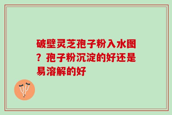 破壁灵芝孢子粉入水图?孢子粉沉淀的好还是易溶解的好 破壁灵芝孢子粉入水图?孢子粉沉淀的好还是易溶解的好