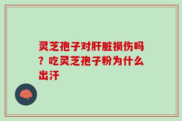 灵芝孢子对肝脏损伤吗？吃灵芝孢子粉为什么出汗