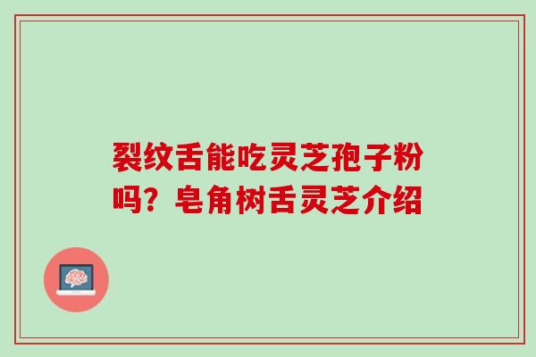 裂纹舌能吃灵芝孢子粉吗？皂角树舌灵芝介绍
