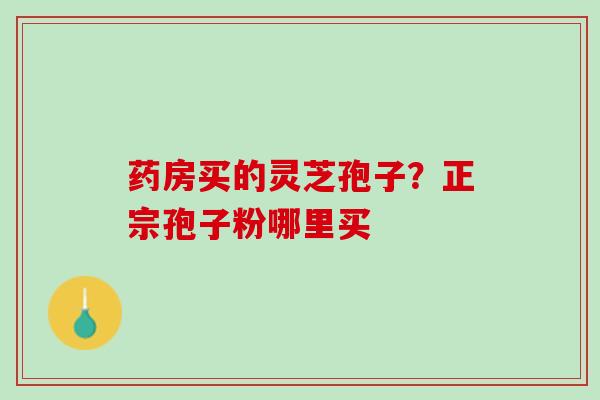 药房买的灵芝孢子？正宗孢子粉哪里买