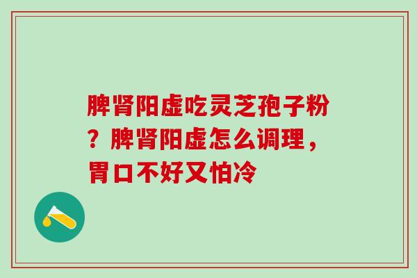脾肾阳虚吃灵芝孢子粉？脾肾阳虚怎么调理，胃口不好又怕冷