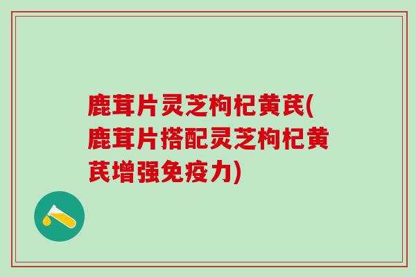鹿茸片灵芝枸杞黄芪(鹿茸片搭配灵芝枸杞黄芪增强免疫力)