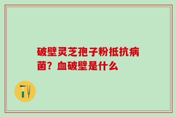 破壁灵芝孢子粉抵抗病菌？血破壁是什么